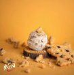 بستنی کوکیز و کرم  | cookies & cream